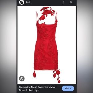 ISO - BLUMARINE Mesh Embroidry Mini Dress (Red)